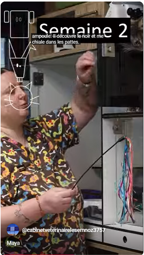 Vidéo de Maya en hospitalisation