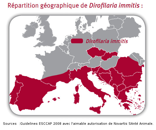 Carte-rpartition-dirofilariose-Europe